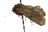  ( - UKLB37A04)  @13 [ ] CreativeCommons - Attribution (2009) Unspecified Centre for Biodiversity Genomics