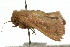  ( - UKLB37A06)  @11 [ ] CreativeCommons - Attribution (2009) Unspecified Centre for Biodiversity Genomics