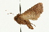  ( - UKLB37C08)  @11 [ ] CreativeCommons - Attribution (2009) Unspecified Centre for Biodiversity Genomics