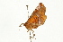  ( - UKLB37E01)  @12 [ ] CreativeCommons - Attribution (2009) Unspecified Centre for Biodiversity Genomics