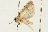  ( - UKLB37F10)  @13 [ ] CreativeCommons - Attribution (2009) Unspecified Centre for Biodiversity Genomics
