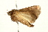  ( - UKLB37G03)  @11 [ ] CreativeCommons - Attribution (2009) Unspecified Centre for Biodiversity Genomics