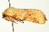  ( - UKLB37H02)  @11 [ ] CreativeCommons - Attribution (2009) Unspecified Centre for Biodiversity Genomics