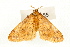  ( - UKLB37H08)  @11 [ ] CreativeCommons - Attribution (2009) Unspecified Centre for Biodiversity Genomics