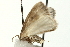  ( - UKLB36H11)  @13 [ ] CreativeCommons - Attribution (2009) Unspecified Centre for Biodiversity Genomics