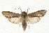  ( - UKLB35B02)  @14 [ ] CreativeCommons - Attribution (2009) Unspecified Centre for Biodiversity Genomics