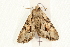 ( - UKLB35E02)  @11 [ ] CreativeCommons - Attribution (2009) Unspecified Centre for Biodiversity Genomics