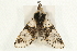  ( - UKLB35H03)  @13 [ ] CreativeCommons - Attribution (2009) Unspecified Centre for Biodiversity Genomics