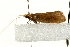  ( - UKLB42A07)  @13 [ ] CreativeCommons - Attribution (2009) Unspecified Centre for Biodiversity Genomics