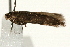  ( - UKLB42A08)  @12 [ ] CreativeCommons - Attribution (2009) Unspecified Centre for Biodiversity Genomics