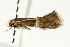  ( - UKLB42B09)  @13 [ ] CreativeCommons - Attribution (2009) Unspecified Centre for Biodiversity Genomics