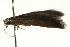  ( - UKLB42C10)  @12 [ ] CreativeCommons - Attribution (2009) Unspecified Centre for Biodiversity Genomics