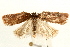  ( - UKLB42D03)  @14 [ ] CreativeCommons - Attribution (2009) Unspecified Centre for Biodiversity Genomics