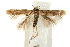  ( - UKLB42E02.fail1)  @11 [ ] CreativeCommons - Attribution (2009) Unspecified Centre for Biodiversity Genomics