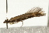  ( - UKLB42E12)  @12 [ ] CreativeCommons - Attribution (2009) Unspecified Centre for Biodiversity Genomics