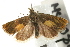  ( - UKLB42G10)  @13 [ ] CreativeCommons - Attribution (2009) Unspecified Centre for Biodiversity Genomics