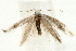  ( - UKLB42H05)  @13 [ ] CreativeCommons - Attribution (2009) Unspecified Centre for Biodiversity Genomics