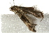  ( - UKLB42H10)  @12 [ ] CreativeCommons - Attribution (2009) Unspecified Centre for Biodiversity Genomics