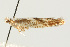  ( - UKLB33A11)  @12 [ ] CreativeCommons - Attribution (2010) Unspecified Centre for Biodiversity Genomics