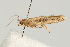  ( - UKLB33A12)  @13 [ ] CreativeCommons - Attribution (2010) Unspecified Centre for Biodiversity Genomics