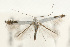 ( - UKLB39B03)  @13 [ ] CreativeCommons - Attribution (2010) Unspecified Centre for Biodiversity Genomics