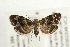  ( - UKLB39C04)  @14 [ ] CreativeCommons - Attribution (2010) Unspecified Centre for Biodiversity Genomics