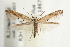  ( - UKLB39E03)  @14 [ ] CreativeCommons - Attribution (2010) Unspecified Centre for Biodiversity Genomics