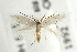  ( - UKLB39F05)  @11 [ ] CreativeCommons - Attribution (2010) Unspecified Centre for Biodiversity Genomics