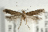  ( - UKLB40A02)  @13 [ ] CreativeCommons - Attribution (2010) Unspecified Centre for Biodiversity Genomics