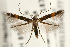  ( - UKLB40B02)  @14 [ ] CreativeCommons - Attribution (2010) Unspecified Centre for Biodiversity Genomics