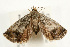  ( - UKLB40G05)  @13 [ ] CreativeCommons - Attribution (2010) Unspecified Centre for Biodiversity Genomics
