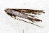  ( - UKLB42H06)  @12 [ ] CreativeCommons - Attribution (2010) Unspecified Centre for Biodiversity Genomics