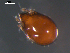  ( - 08DPMIT-0589)  @13 [ ] CreativeCommons - Attribution (2010) Unspecified Centre for Biodiversity Genomics