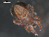  ( - 08DPMIT-0593)  @14 [ ] CreativeCommons - Attribution (2010) Unspecified Centre for Biodiversity Genomics