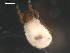  ( - 08DPMIT-0600)  @14 [ ] CreativeCommons - Attribution (2010) Unspecified Centre for Biodiversity Genomics