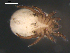  ( - 08DPMIT-0601)  @14 [ ] CreativeCommons - Attribution (2010) Unspecified Centre for Biodiversity Genomics