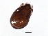  ( - 08DPMIT-0118)  @12 [ ] CreativeCommons - Attribution (2008) Unspecified Centre for Biodiversity Genomics