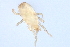  ( - 08DPMIT-0027)  @13 [ ] CreativeCommons - Attribution (2008) Unspecified Centre for Biodiversity Genomics