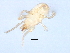  ( - 08DPMIT-0027)  @13 [ ] CreativeCommons - Attribution (2008) Unspecified Centre for Biodiversity Genomics