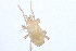  ( - 08DPMIT-0028)  @14 [ ] CreativeCommons - Attribution (2008) Unspecified Centre for Biodiversity Genomics