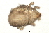 ( - 08DPMIT-0093)  @13 [ ] CreativeCommons - Attribution (2008) Unspecified Centre for Biodiversity Genomics