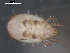 ( - 08DPMIT-0580)  @13 [ ] CreativeCommons - Attribution (2010) Unspecified Centre for Biodiversity Genomics