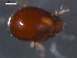  ( - 08DPMIT-0618)  @12 [ ] CreativeCommons - Attribution (2010) Unspecified Centre for Biodiversity Genomics