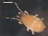  ( - 08DPMIT-0629)  @13 [ ] CreativeCommons - Attribution (2010) Unspecified Centre for Biodiversity Genomics