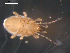  ( - 08DPMIT-0629)  @13 [ ] CreativeCommons - Attribution (2010) Unspecified Centre for Biodiversity Genomics
