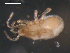  ( - 08DPMIT-0633)  @13 [ ] CreativeCommons - Attribution (2010) Unspecified Centre for Biodiversity Genomics