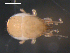  ( - 08DPMIT-0633)  @13 [ ] CreativeCommons - Attribution (2010) Unspecified Centre for Biodiversity Genomics