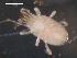  ( - 08DPMIT-0634)  @13 [ ] CreativeCommons - Attribution (2010) Unspecified Centre for Biodiversity Genomics
