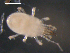  ( - 08DPMIT-0634)  @13 [ ] CreativeCommons - Attribution (2010) Unspecified Centre for Biodiversity Genomics