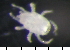  ( - 08DPMIT-0234)  @12 [ ] CreativeCommons - Attribution (2010) Unspecified Centre for Biodiversity Genomics